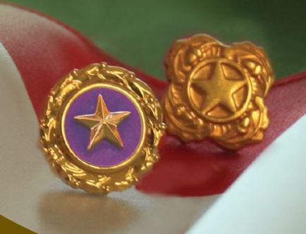 GoldStarPin