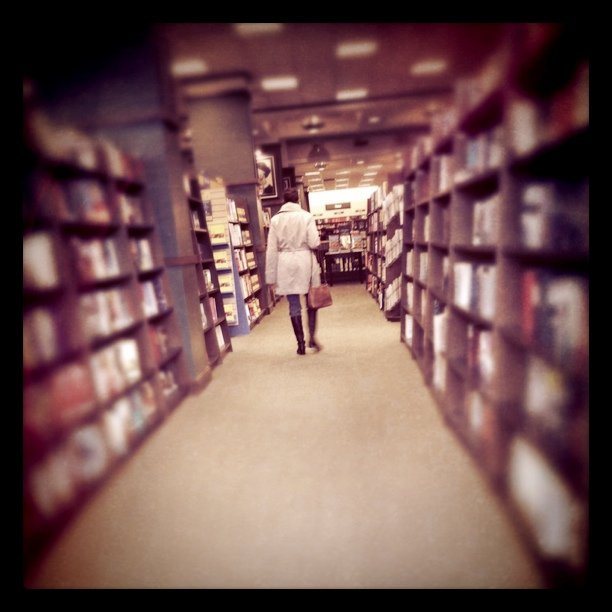 wander-david-gutierrez